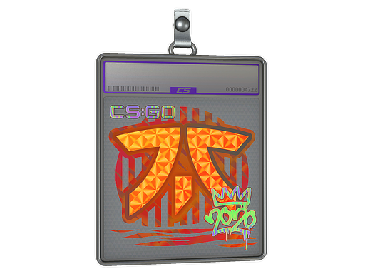  Fnatic  - CS2 Sticker
