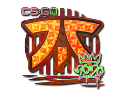 CS2  Fnatic 
