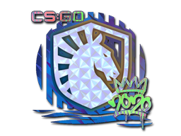 CS2 Sticker | Liquid | 2020 RMR - 2