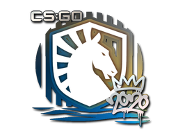 CS2 Sticker | Liquid | 2020 RMR