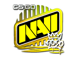 CS2  Natus Vincere 