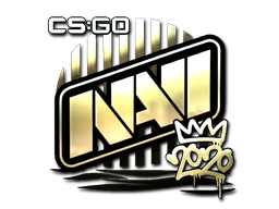 CS2  Natus Vincere 