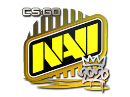 CS2  Natus Vincere 