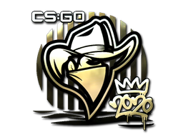 CS2 Sticker | Renegades | 2020 RMR - 3