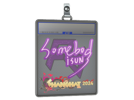 somebody - CS2 Sticker