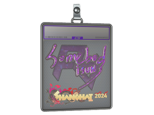 somebody - CS2 Sticker