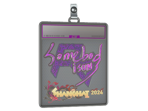 somebody - CS2 Sticker