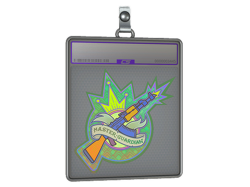 Sticker Slab | Master Guardian