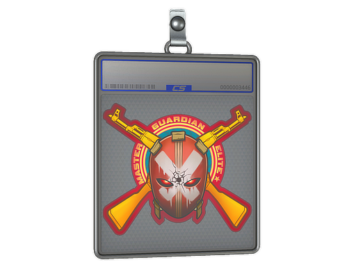 Sticker Slab | Master Guardian Elite - CS2 Sticker