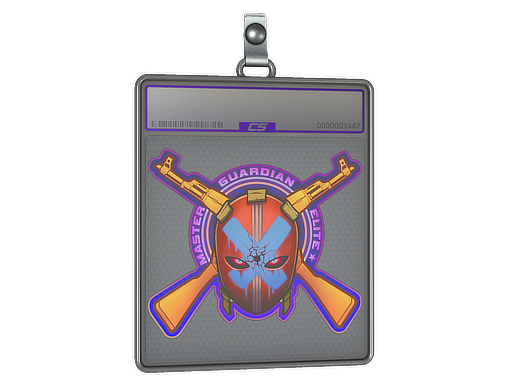 Sticker Slab | Master Guardian Elite