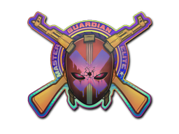 CS2 Sticker | Master Guardian Elite (Holo)