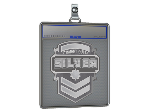 Sticker Slab | Silver - CS2 Sticker