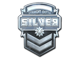 CS2 Sticker | Silver (Foil)