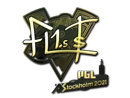 CS2 FL1T