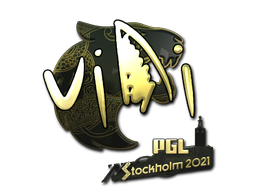 CS2 VINI