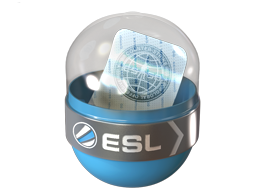 EMS Katowice 2014 Challengers