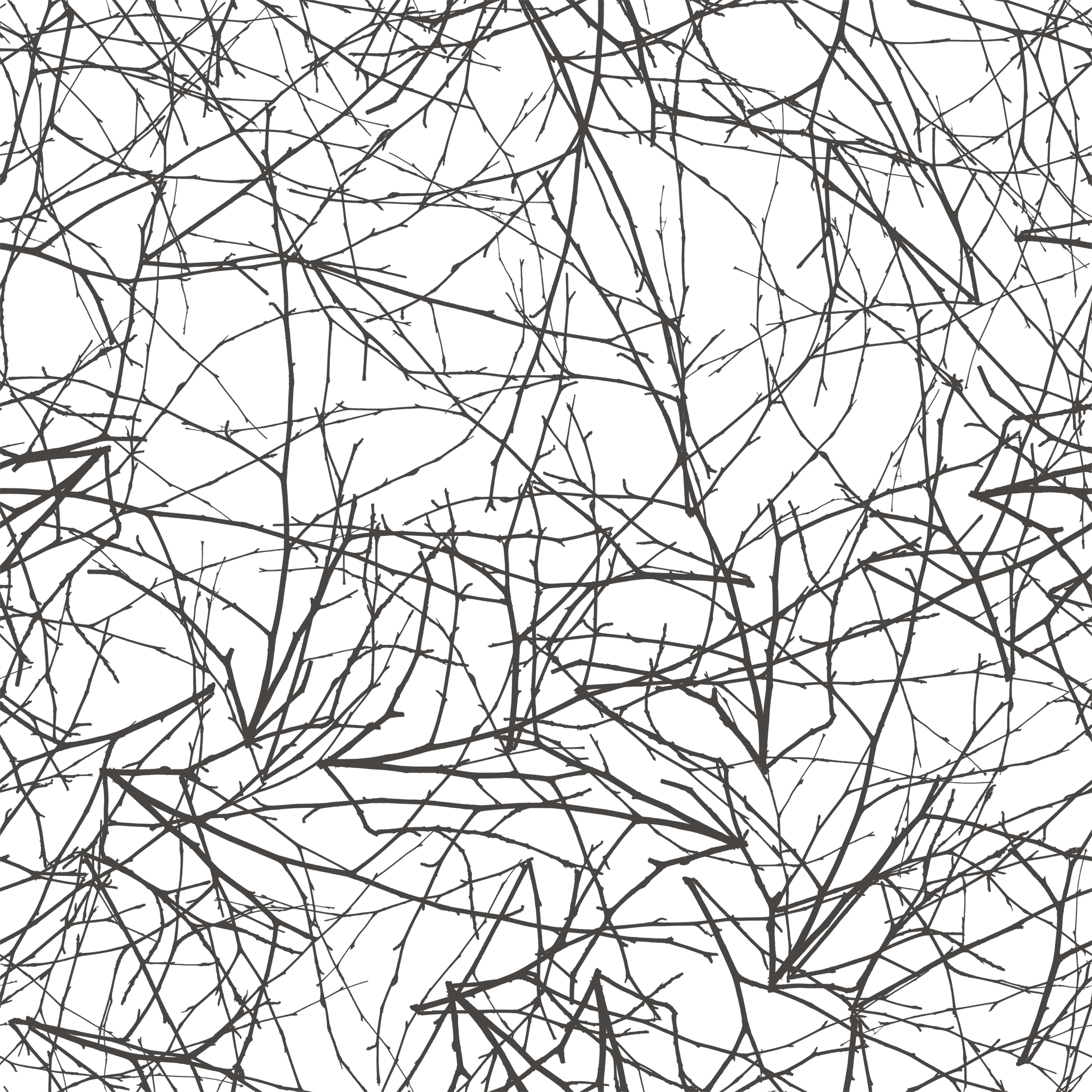 Five-SeveN | Autumn Thicket (Factory New) Texture #1